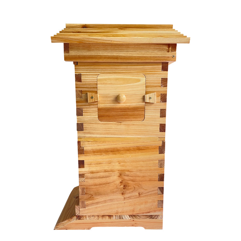 Mini Auto Beehive Honey House Beekeeping +4x Auto Flowing Honey Hive Frames +6 X Brood Box Frames