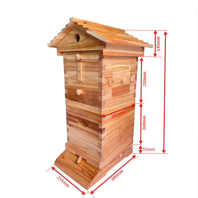Mini Auto Beehive Honey House Beekeeping +4x Auto Flowing Honey Hive Frames +6 X Brood Box Frames