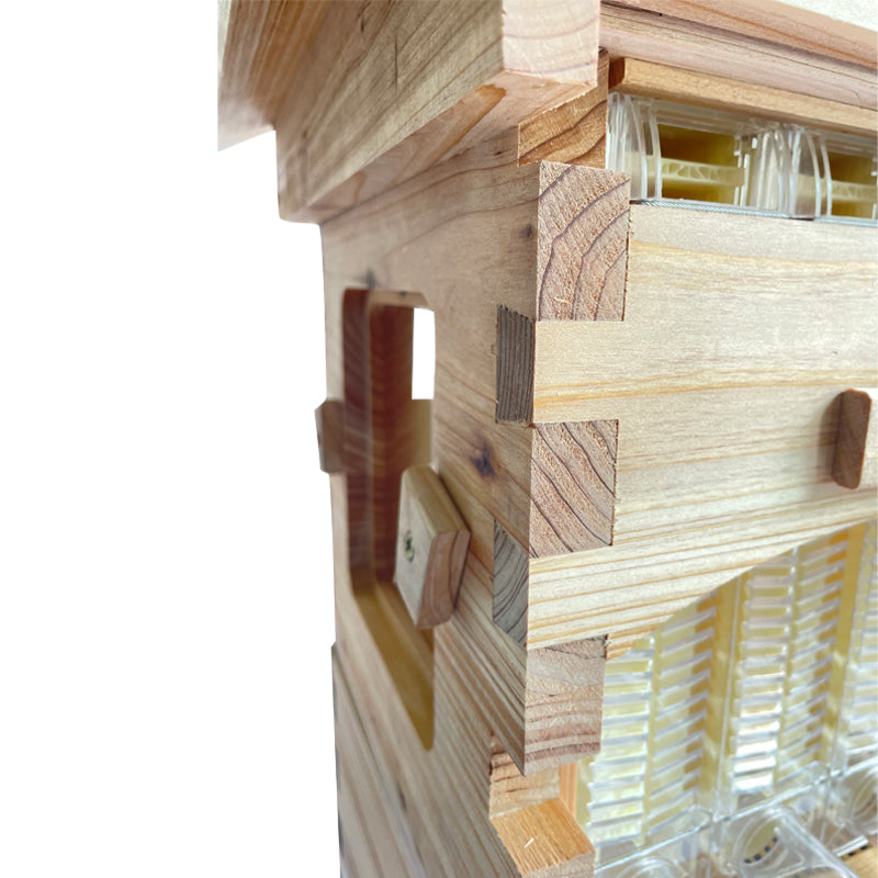Mini Auto Beehive Honey House Beekeeping +4x Auto Flowing Honey Hive Frames +6 X Brood Box Frames