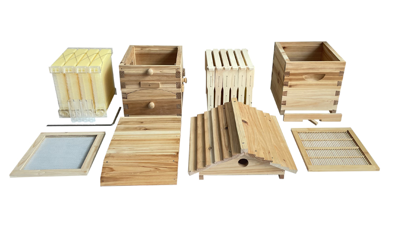 Mini Auto Beehive Honey House Beekeeping +4x Auto Flowing Honey Hive Frames +6 X Brood Box Frames