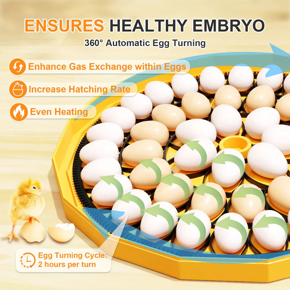 JANOEL Automatic Egg Incubator 48 egg