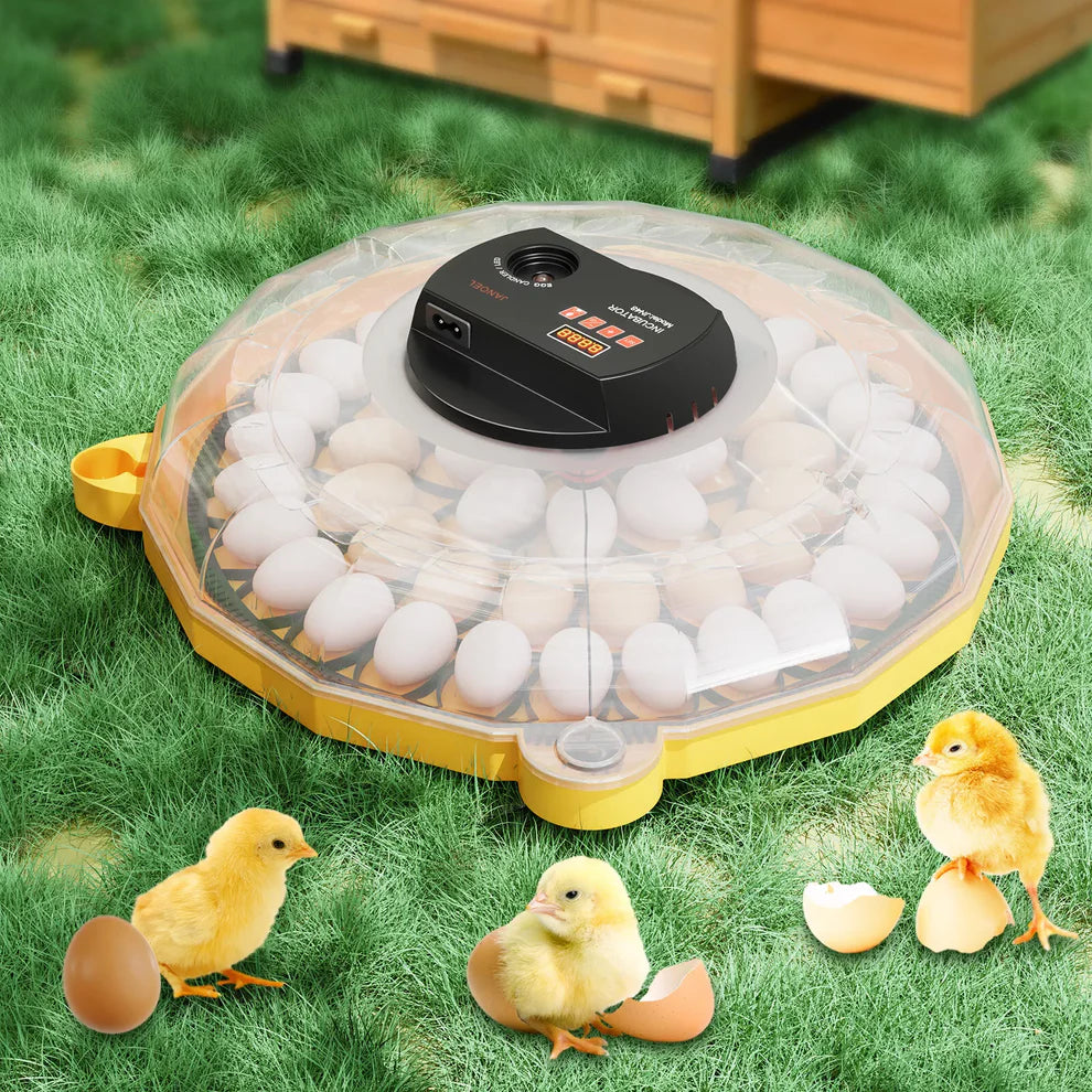 JANOEL Automatic Egg Incubator 48 egg