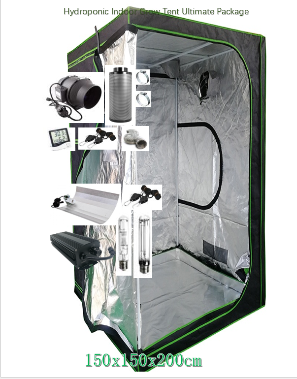 240x120x200cm Hydroponic Indoor Grow Tent Ultimate Package 600Wx2 and 6" Fan/Filter