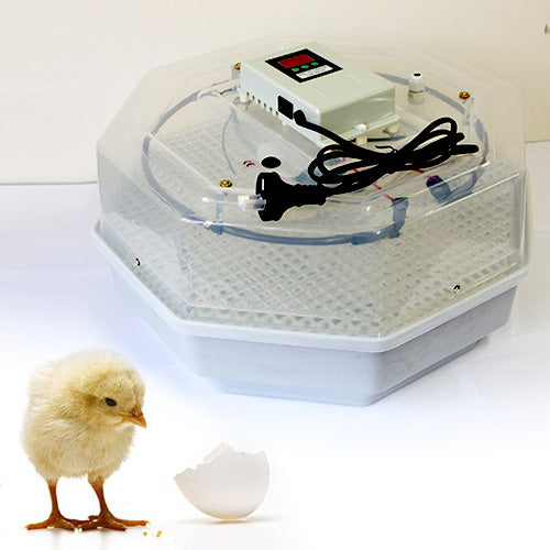 Digital 60 Eggs Incubator With LED Display
