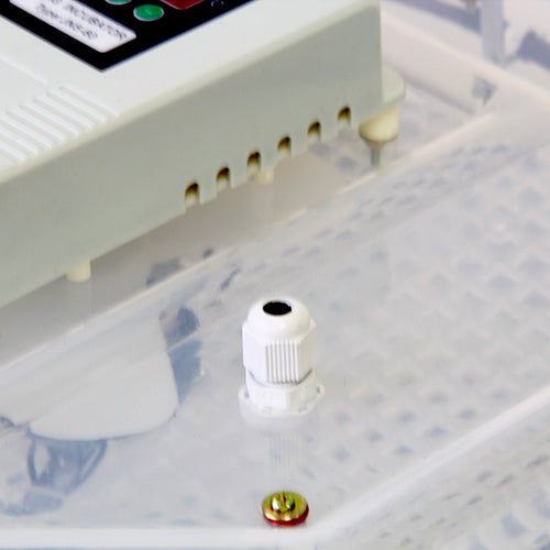 Digital 60 Eggs Incubator With LED Display