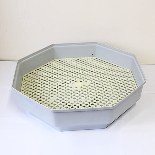 Digital 60 Eggs Incubator With LED Display