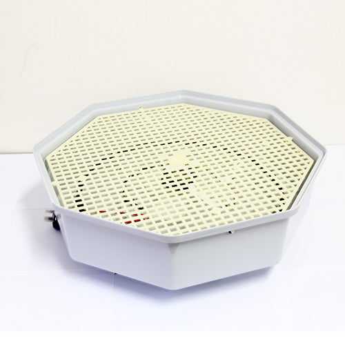 Digital 60 Eggs Incubator With Adjustable Temperature Turbo Fan