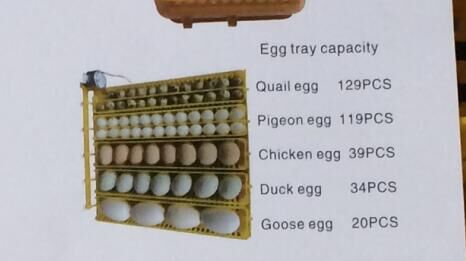 JANOEL Fully Automatic 39 Eggs Incubator