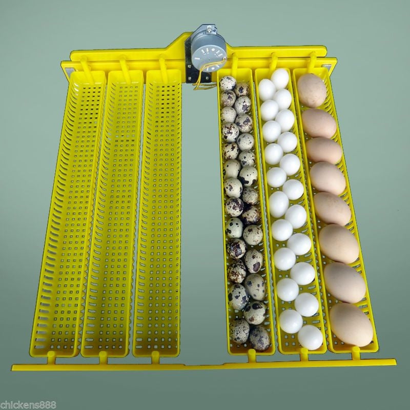 Janoel Fully Automatic 48 Eggs Incubator Kit W/ New Egg Tray