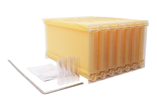 Wooden Auto Flow Beekeeping Beehive House Bee Comb Hive and 7 PCs Frames