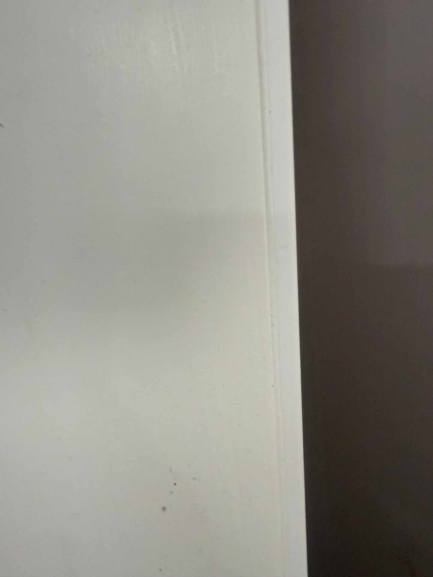 2500mm x 2600mm PVC Ceiling Panel