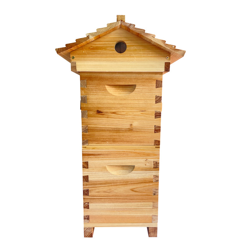 Mini Auto Beehive Honey House Beekeeping  +4x Auto Flowing Honey Hive Frames +6 X Brood Box Frames