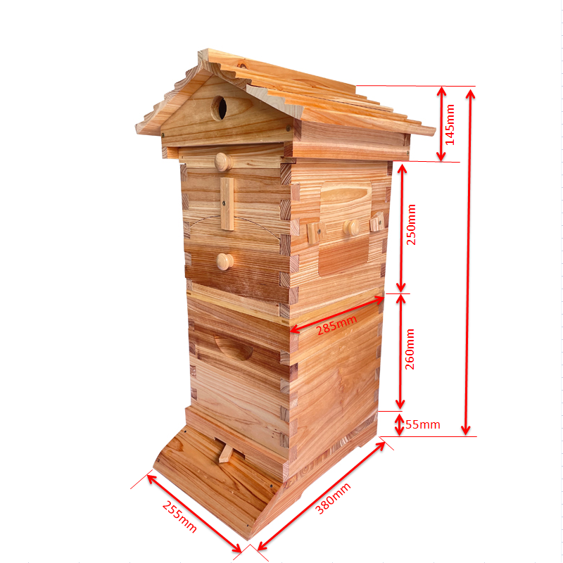 Mini Auto Beehive Honey House Beekeeping  +4x Auto Flowing Honey Hive Frames +6 X Brood Box Frames