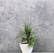 Tongue and Groove Interlocking Hollow Waterproof PVC Panels-1000mm Width Grey Concrete