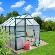Polycarbonate & Aluminium Walk-in Greenhouse L260xW195cm Green 6mm double-walled Panel