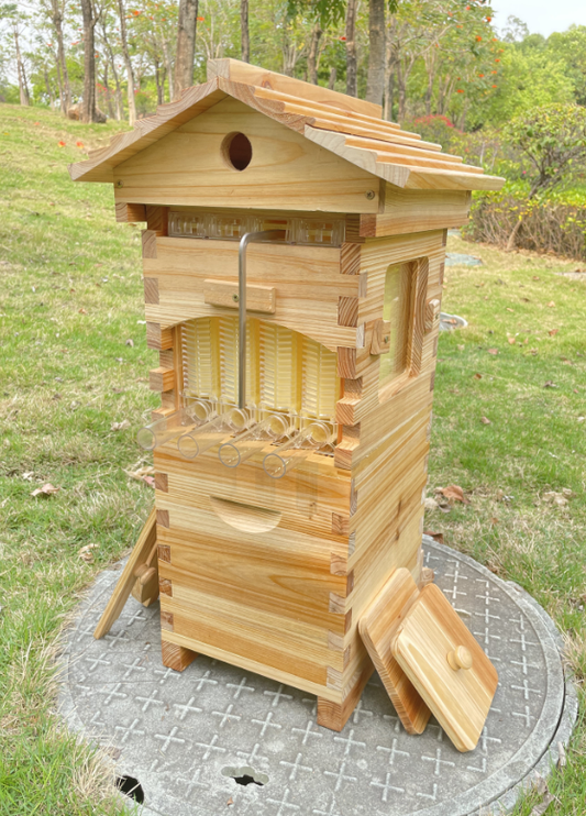 Mini Auto Beehive Honey House Beekeeping  +4x Auto Flowing Honey Hive Frames +6 X Brood Box Frames