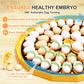 JANOEL Automatic Egg Incubator 48 egg