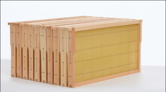 10 Pcs Assembled Beehive Box Super & Brood Bee Hive Frames with Foundation