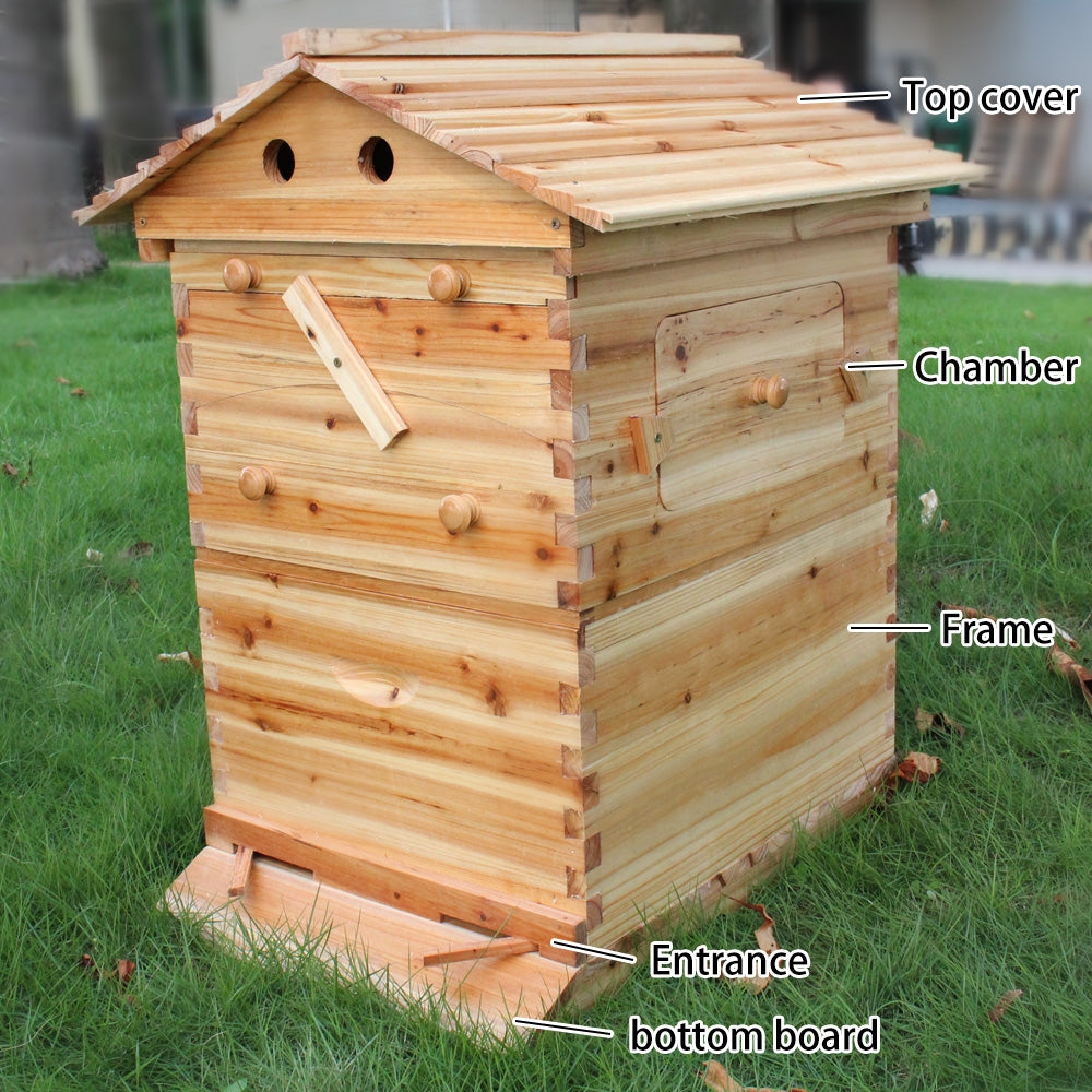 Wooden Auto Flow Beekeeping Beehive House Bee Comb Hive and 7 PCs Frames