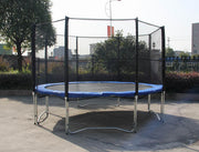 14FT Trampoline with Safety Net and Ladder
