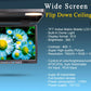 15.4 inch Flip Down Roof Monitor with Dome Light Infrared