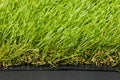 Artificial Grass 20mm 1x10m Synthetic Turf 10 SQM Fake Lawn Roll Green & Yellow