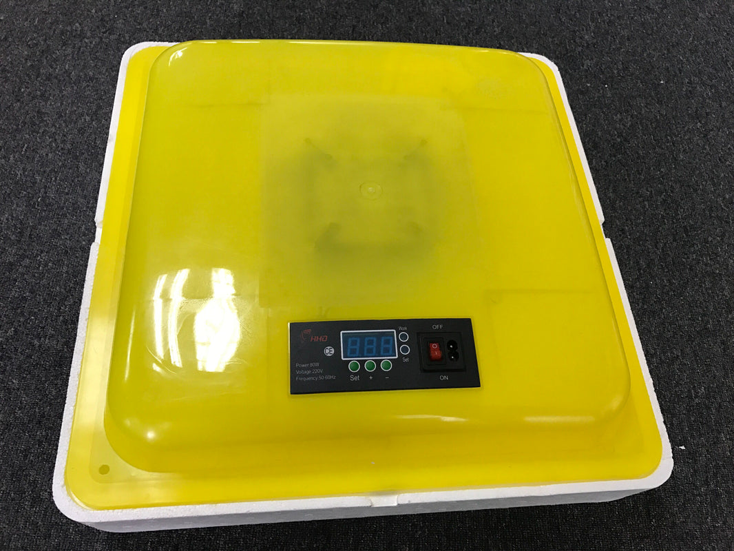 Buy Eggs Incubator Incubating Chicken Eggs Australia For Sale Always Direct AlwaysDirect