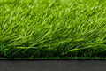 Artificial Grass 25mm 1x10m Synthetic Turf 10 SQM Fake Lawn Roll Green