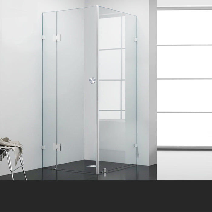 Frameless Shower Screen  1000 x 1000 x 2000mm