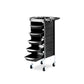 6 Tiers Hairdresser Salon Spa Multifunction Hair Trolley Rolling Storage Cart