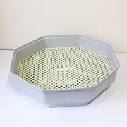 Digital 60 Eggs Incubator With LED Display 