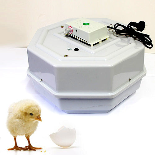 Digital 60 Eggs Incubator With Adjustable Temperature Turbo Fan