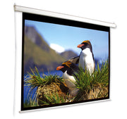 Electric Motorised TV Cinema HD Projector Screen 120" Remote Control