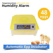 New Model Fully Automatic 48 Eggs Incubator Kit