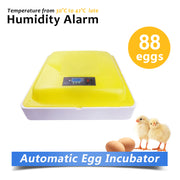 Digital 88 Eggs Incubator With LED Display-Manual Turn