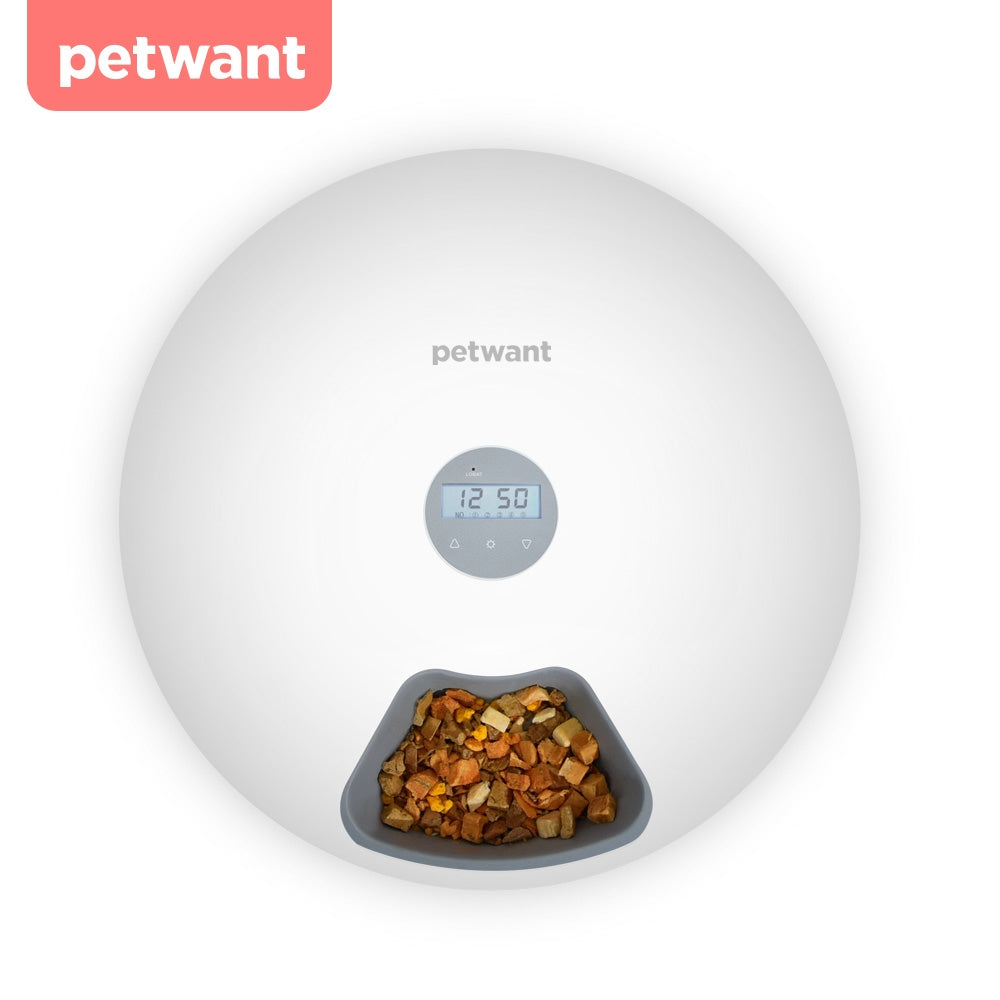 Petwant Auto feeders Smart Automatic Pet Feeder F6