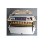 JANOEL 96 Egg Incubator Fully Automatic Chicken Duck Goose Egg Hatcher