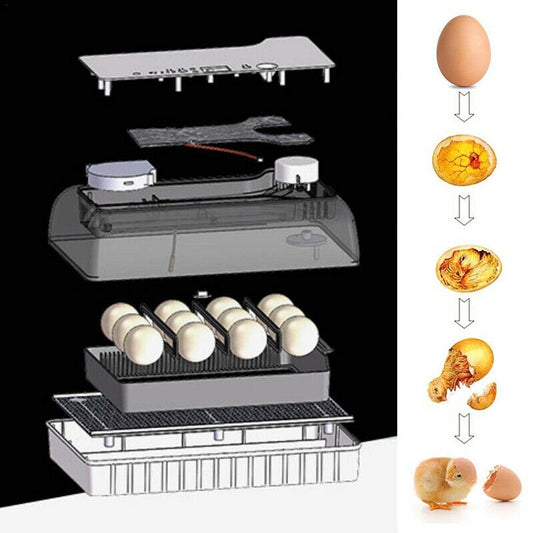 Automatic Digital Chicken Duck Bird 12 Egg Incubator Hatcher