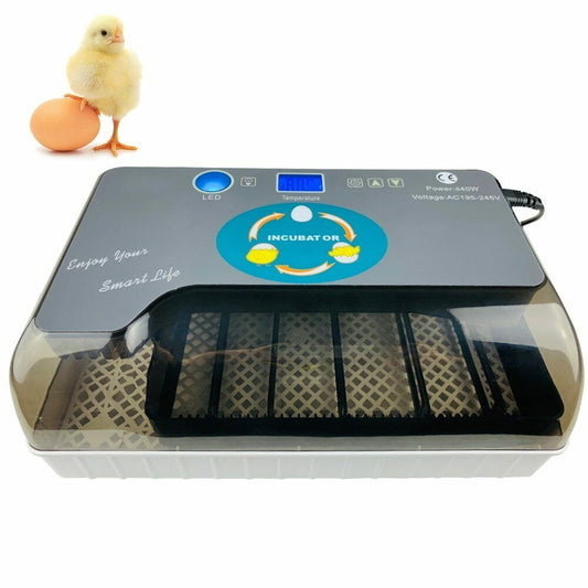 Automatic Digital Chicken Duck Bird 12 Egg Incubator Hatcher