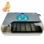 Automatic Digital Chicken Duck Bird 12 Egg Incubator Hatcher