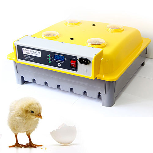 Digital 56 Eggs Incubator Semi Automatic Kit