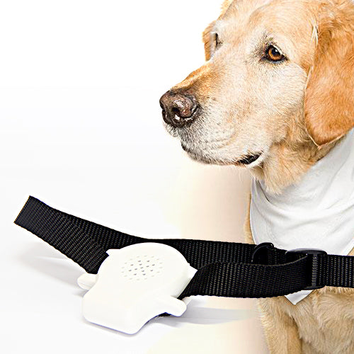 Ultrasonic Bark Stop Collar Record Commands YOUR voice