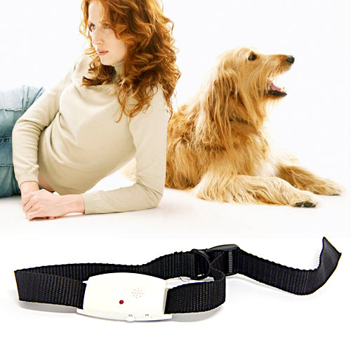 Ultrasonic Stop Flea Pest Repeller for Dog Cat Pets Pet