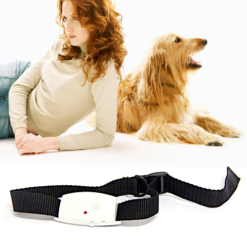Ultrasonic Stop Flea Pest Repeller for Dog Cat Pets Pet (Free Shipping)