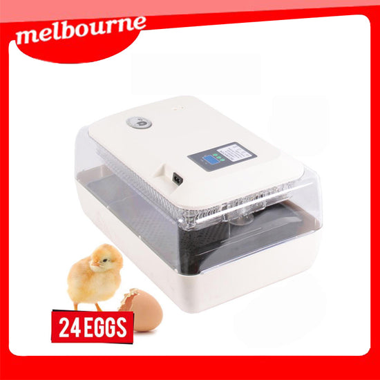 Fully Automatic 24 Eggs Incubaor Kit Buy Pet Supplies Online