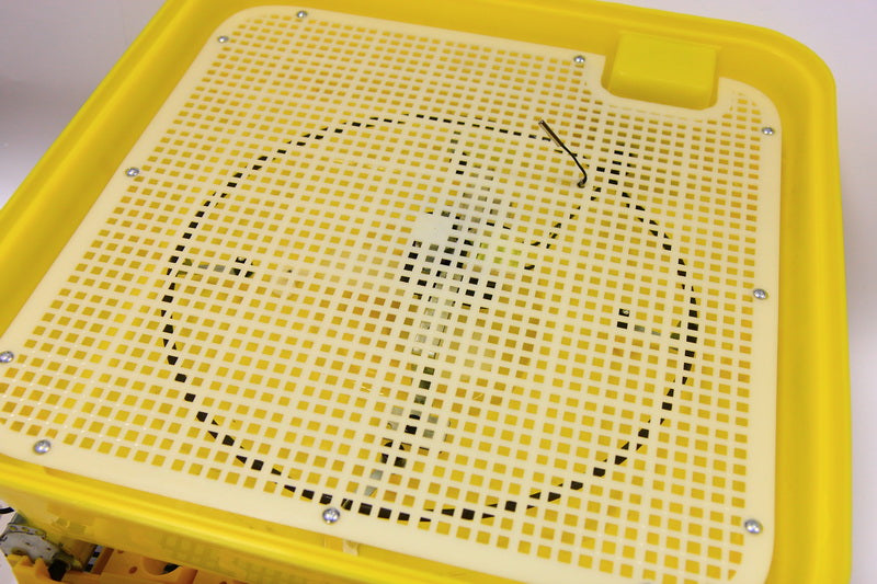 JANOEL Fully Automatic 39 Eggs Incubator