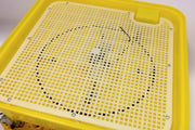 JANOEL Fully Automatic 39 Eggs Incubator