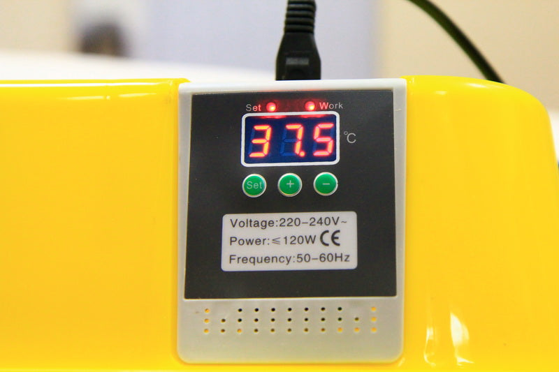 JANOEL Fully Automatic 39 Eggs Incubator