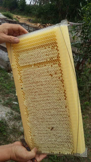 7PCS Auto Dripping Beehive Frame Frame