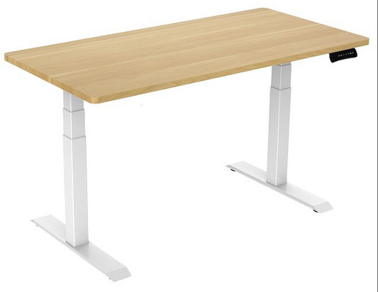 Dual Motor Height-adjustable Computer & Laptop Standing Desk Steel Electric Adjustable Desk